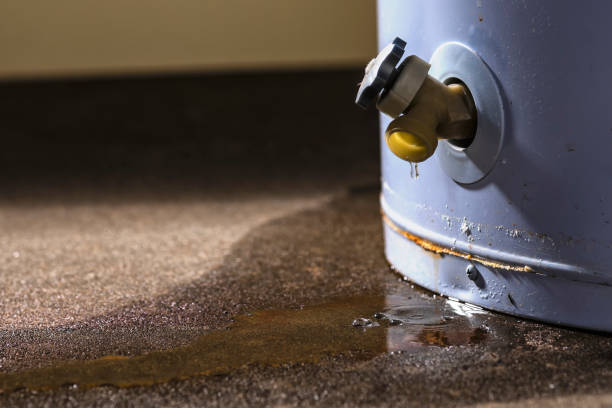 Best Water damage restoration services  in Rio Bravo, TX