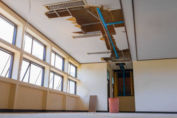 Best Water damage cleanup near me  in Rio Bravo, TX