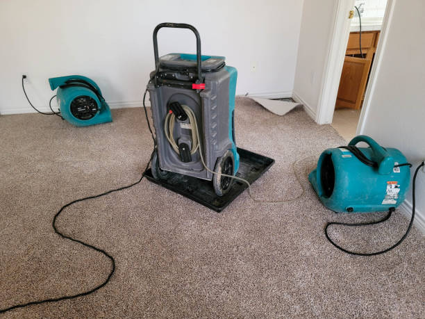 Best Fire Damage Restoration  in Rio Bravo, TX