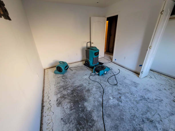 Best 24-hour water damage restoration  in Rio Bravo, TX