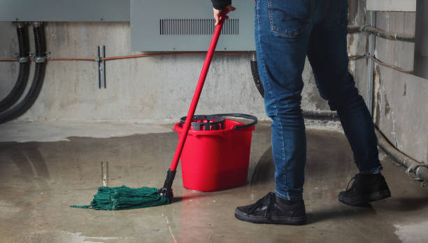 Best Water damage contractors near me  in Rio Bravo, TX