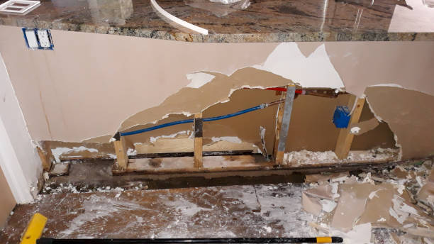Best Flooded house restoration  in Rio Bravo, TX