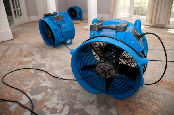 Best Emergency water damage restoration  in Rio Bravo, TX
