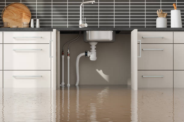 Best Emergency water extraction  in Rio Bravo, TX