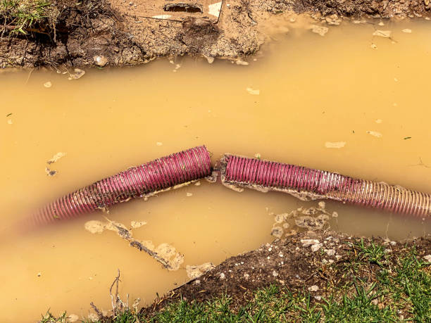 Best Basement water damage restoration  in Rio Bravo, TX